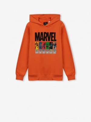 Hoodies Marvel