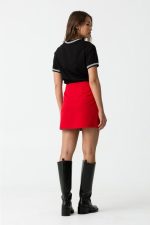 SAIA Shapirro - Image 2